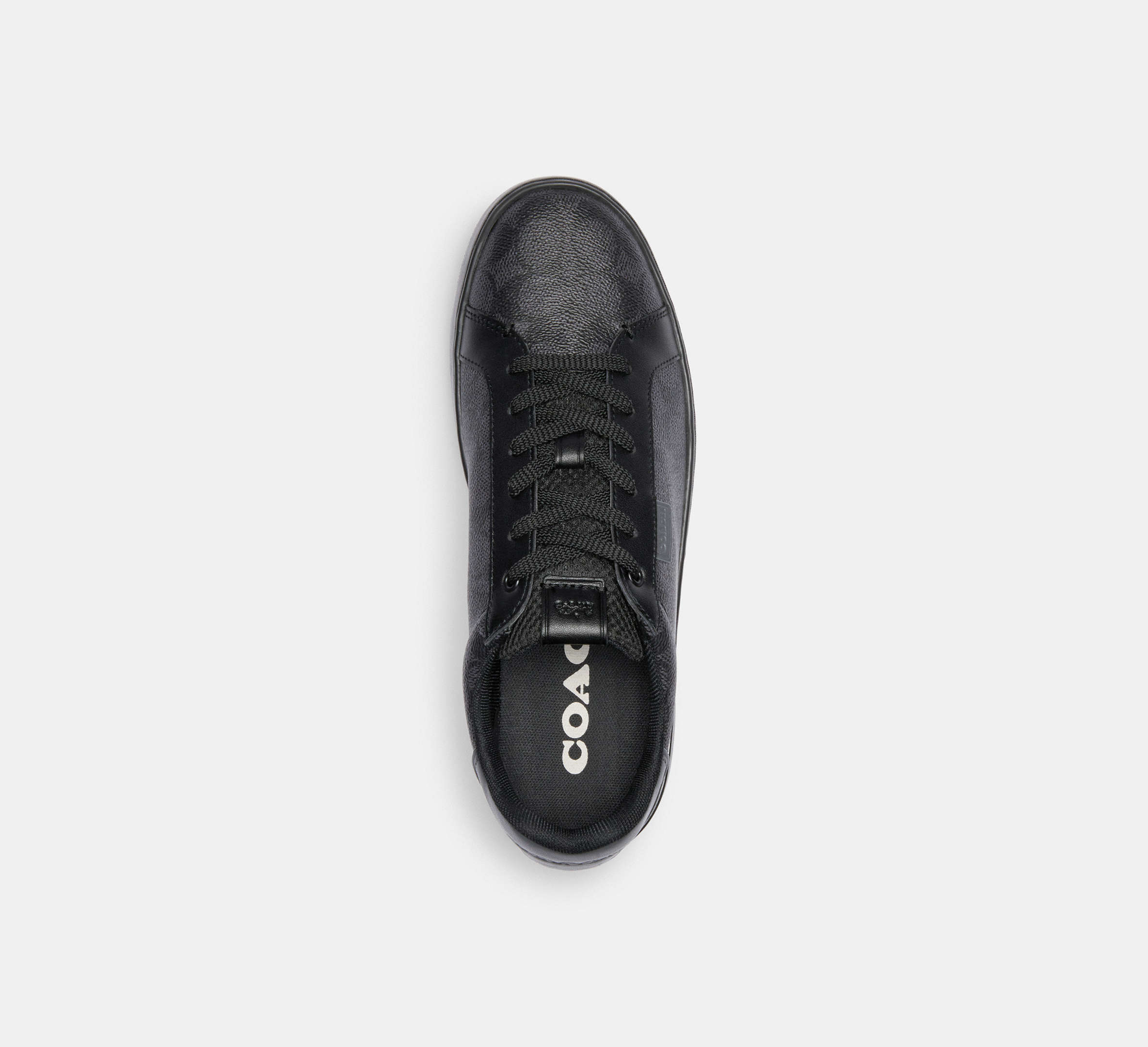 Lowline Low Top Sneaker In Signature Canvas