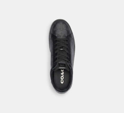 Lowline Low Top Sneaker In Signature Canvas