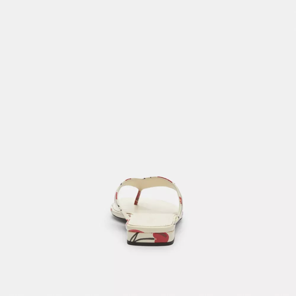Bridgette Sandal With Cherry Print