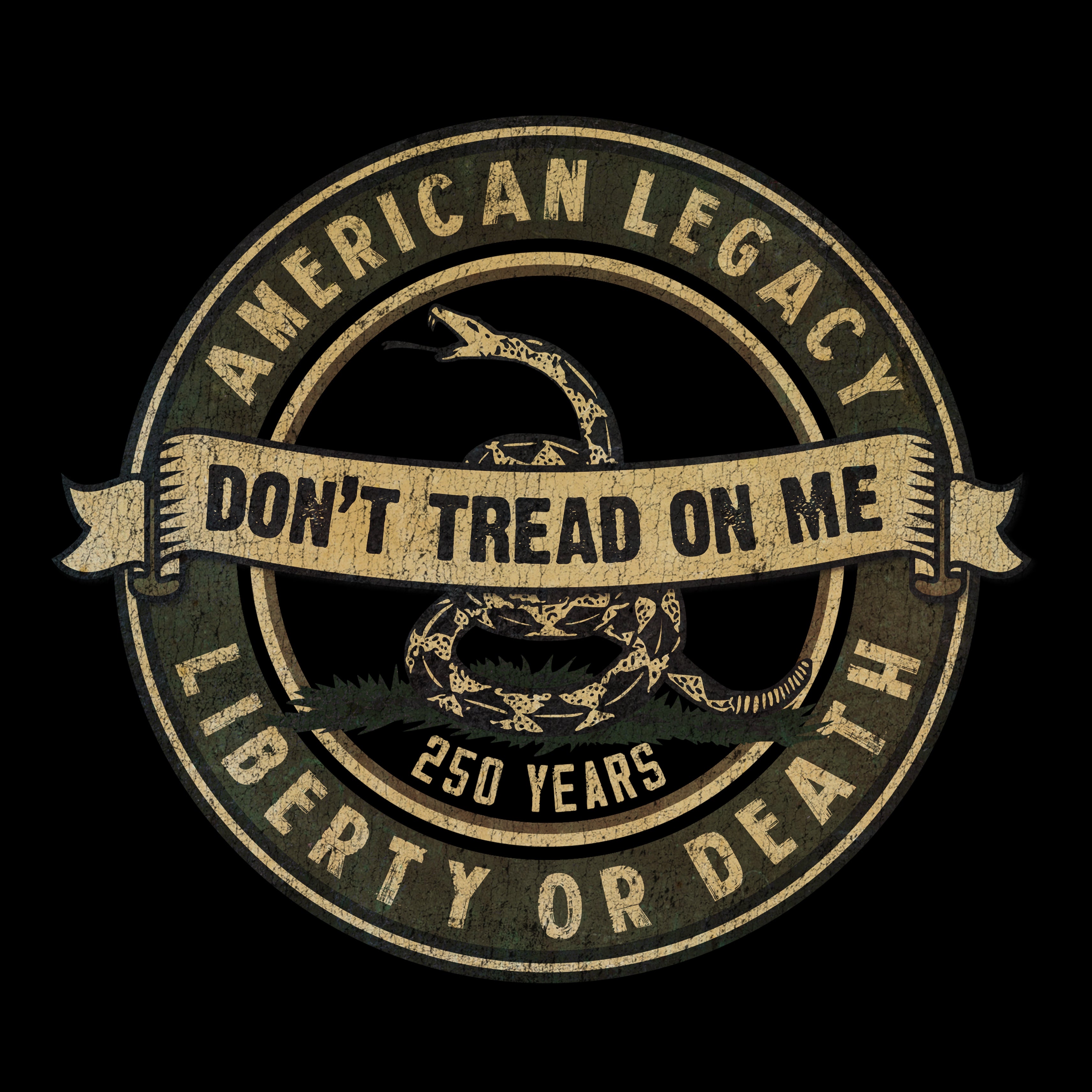 Hero Company Men's American Legacy 250 Years Black Tee 