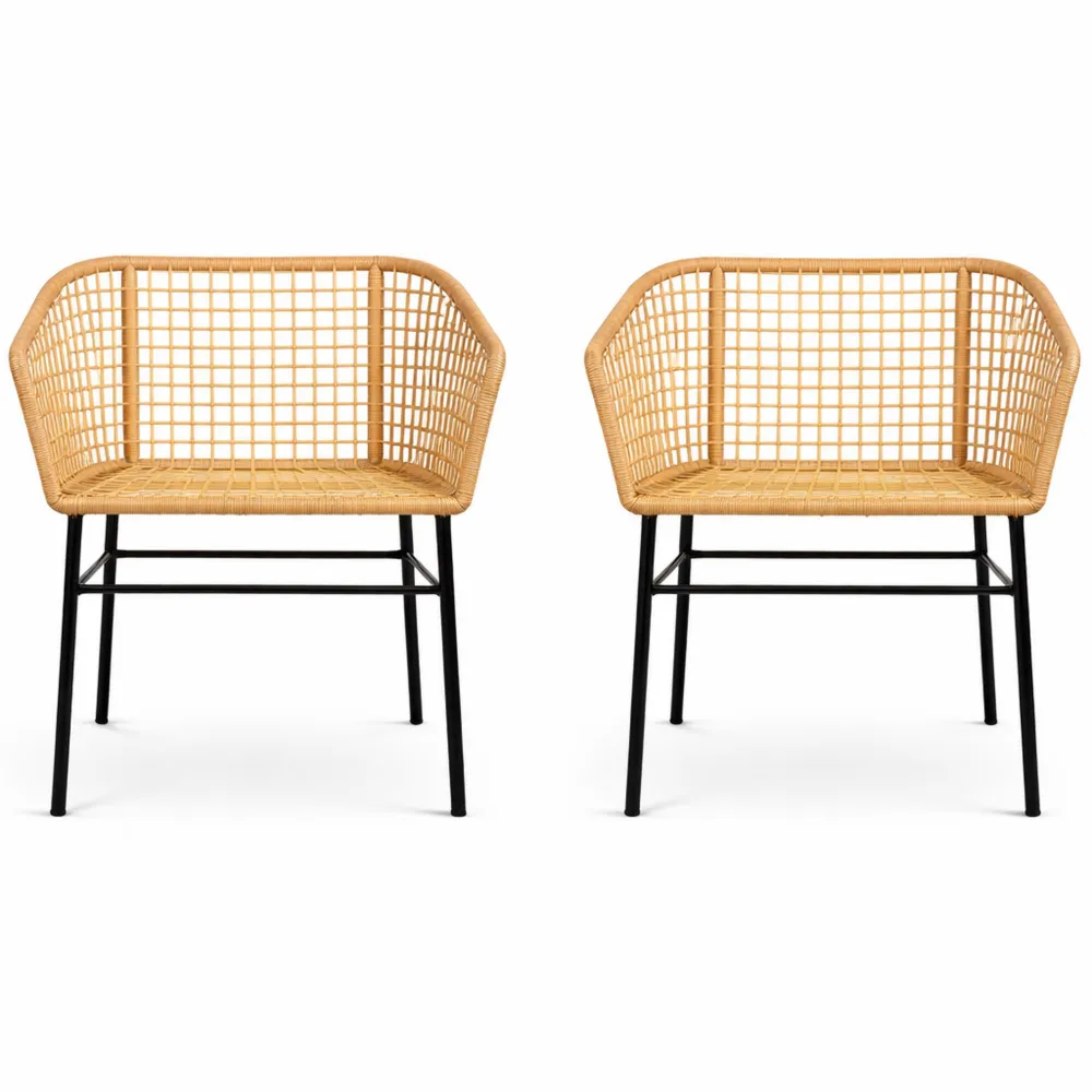 Lot de 2 chaises d'extérieur en résine tressée marron-Furnispaceco