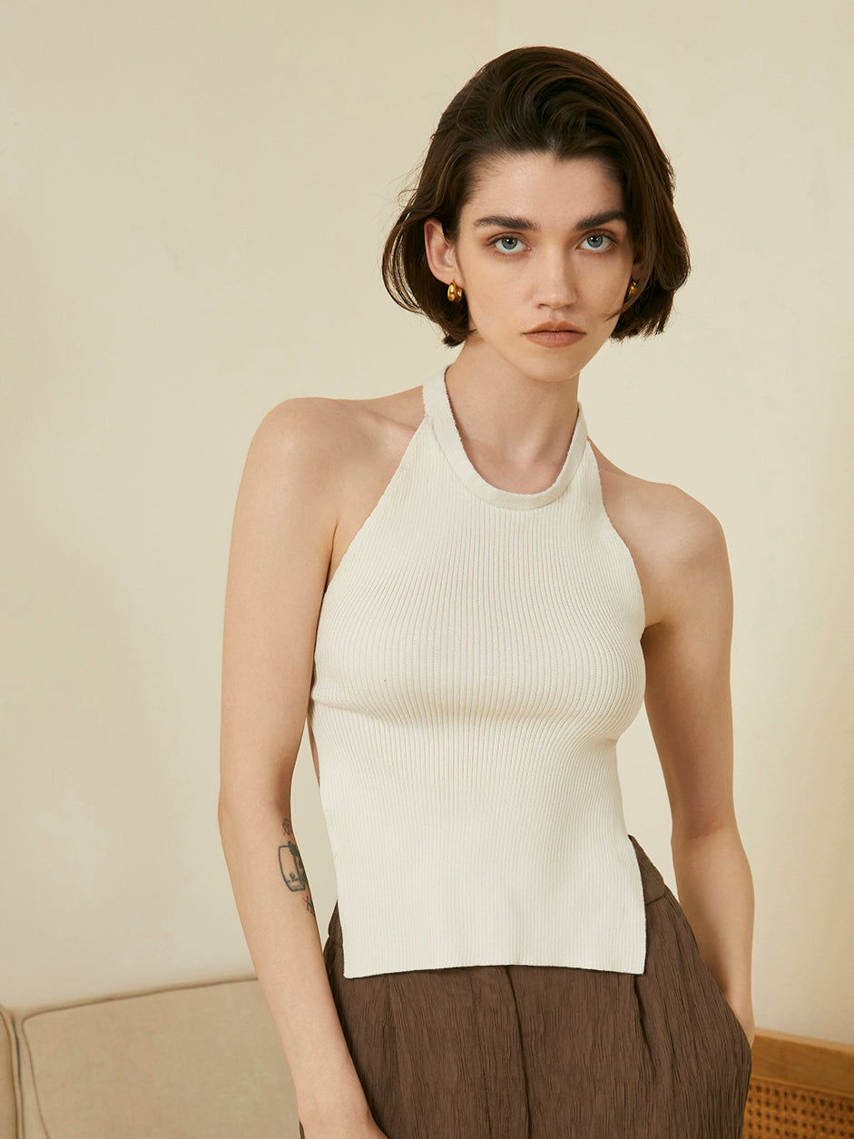 Halter Neck Open Back Knit Top-Chicvia