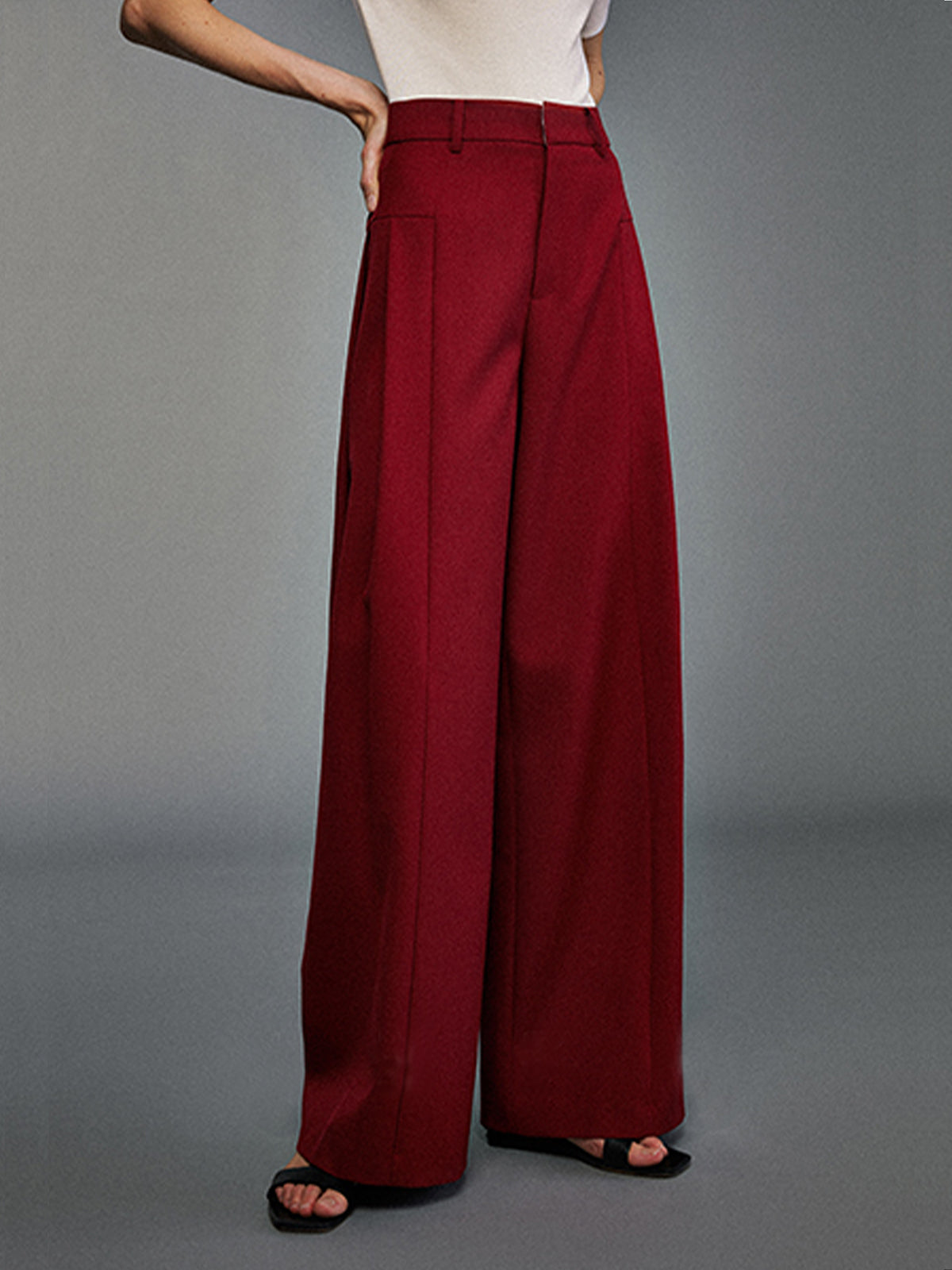 Pleated Wide-Leg Pants-Chicvia