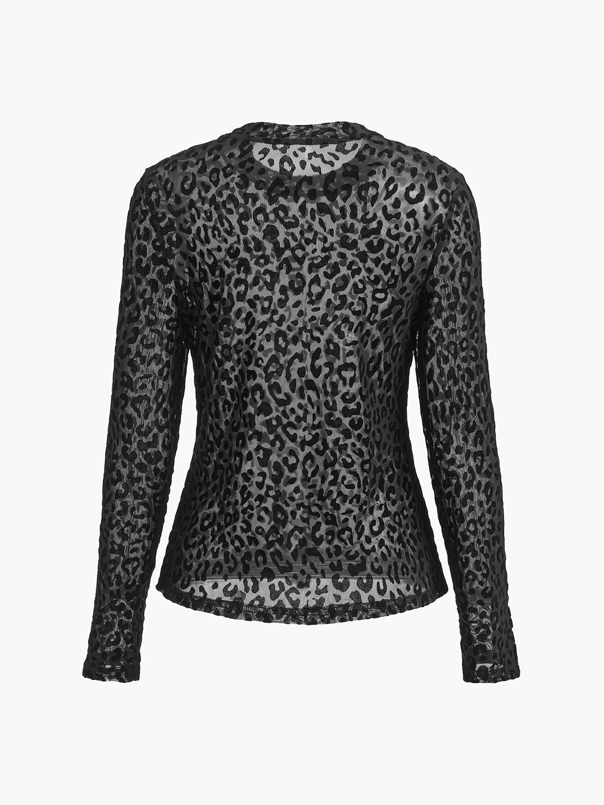 Leopard Printed Sheer T-Shirt-Chicvia
