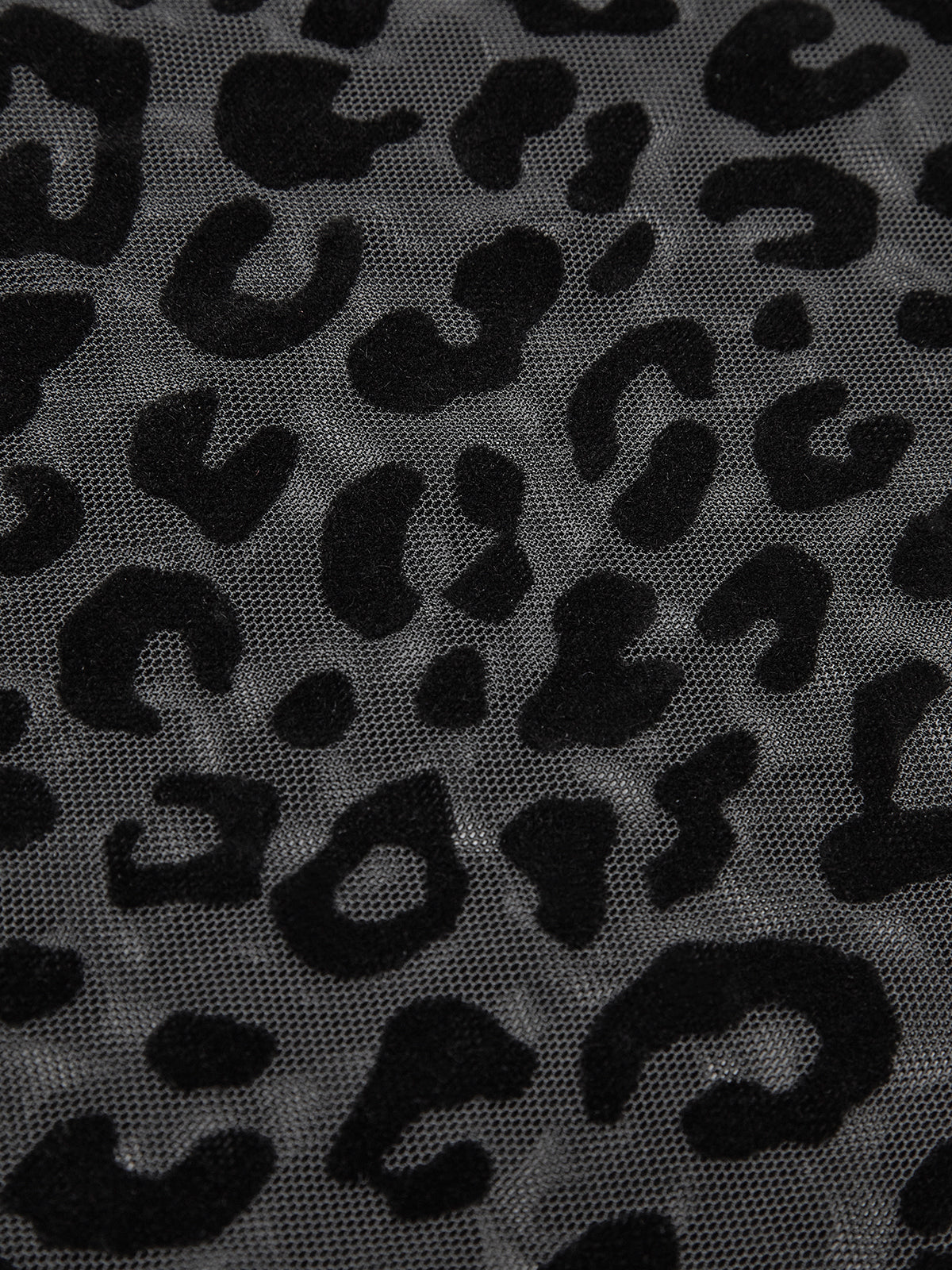 Leopard Printed Sheer T-Shirt-Chicvia