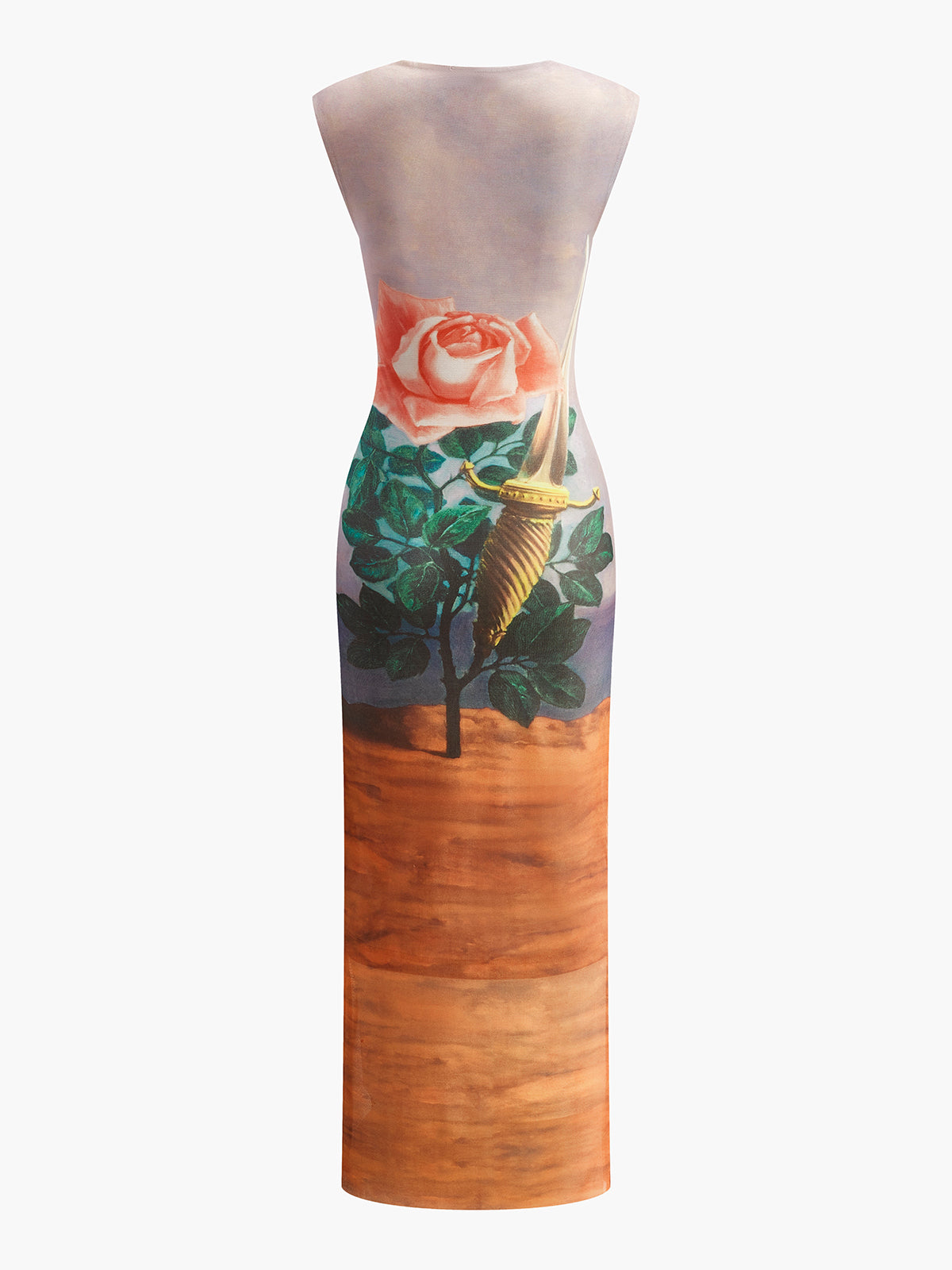 Floral Print Mesh Dress-Chicvia