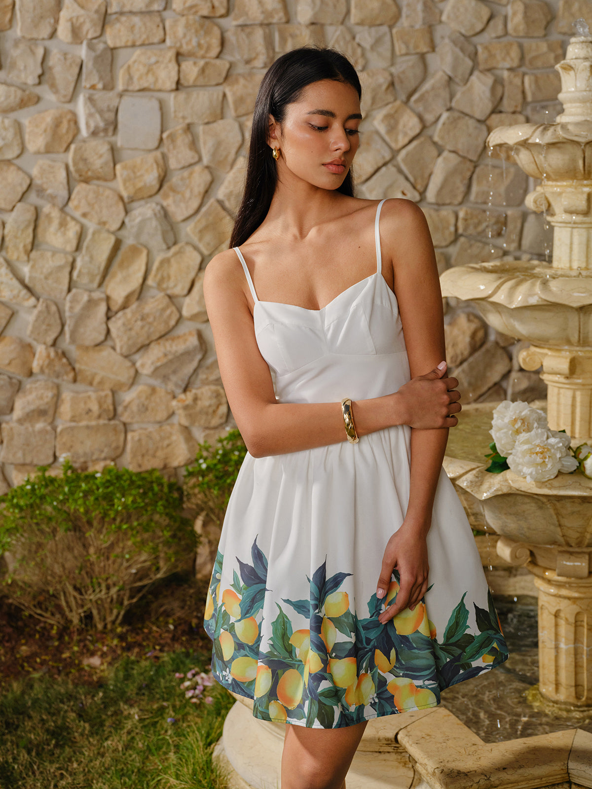 Lemon Print Corset A-Line Dress-Chicvia