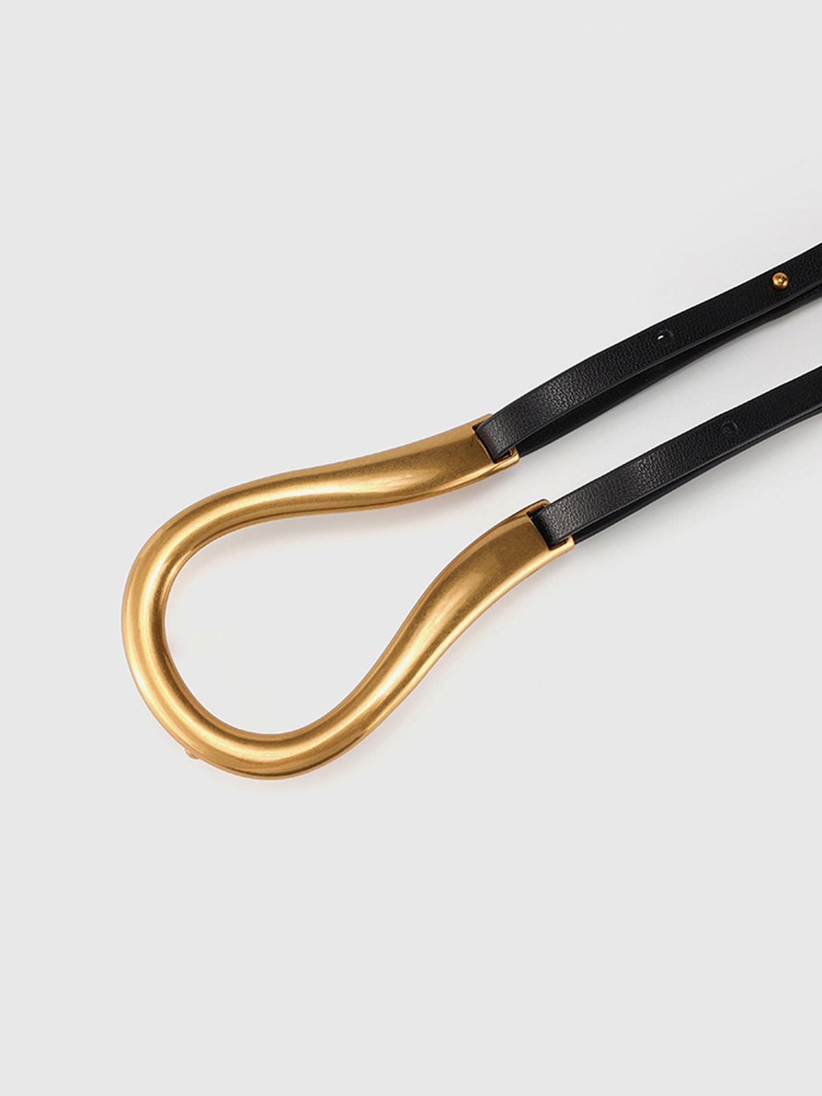 Jupiter Belt-Chicvia