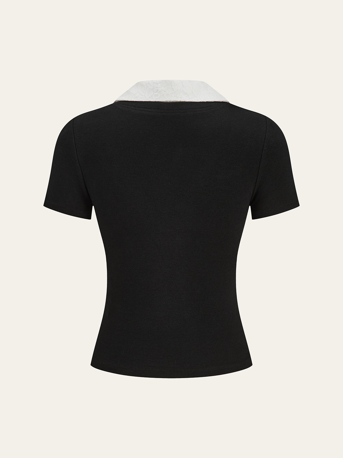 Contrast Lace Collar Cotton Blend T-Shirt-Chicvia