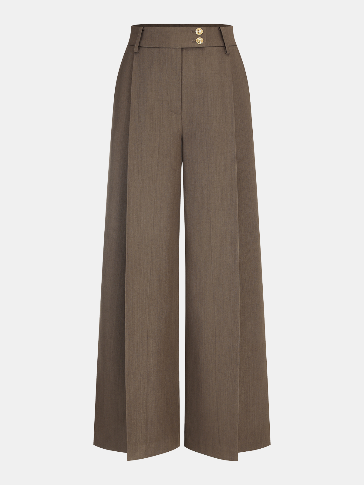 High-Waist Pleated Wide-Leg Pants-Chicvia