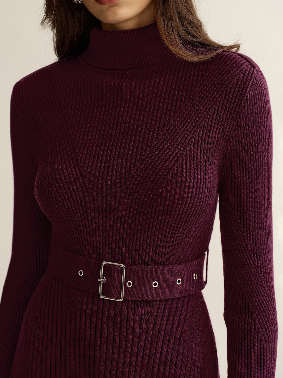 Belted Turtleneck Ribbed Knit Mini Dress-Chicvia