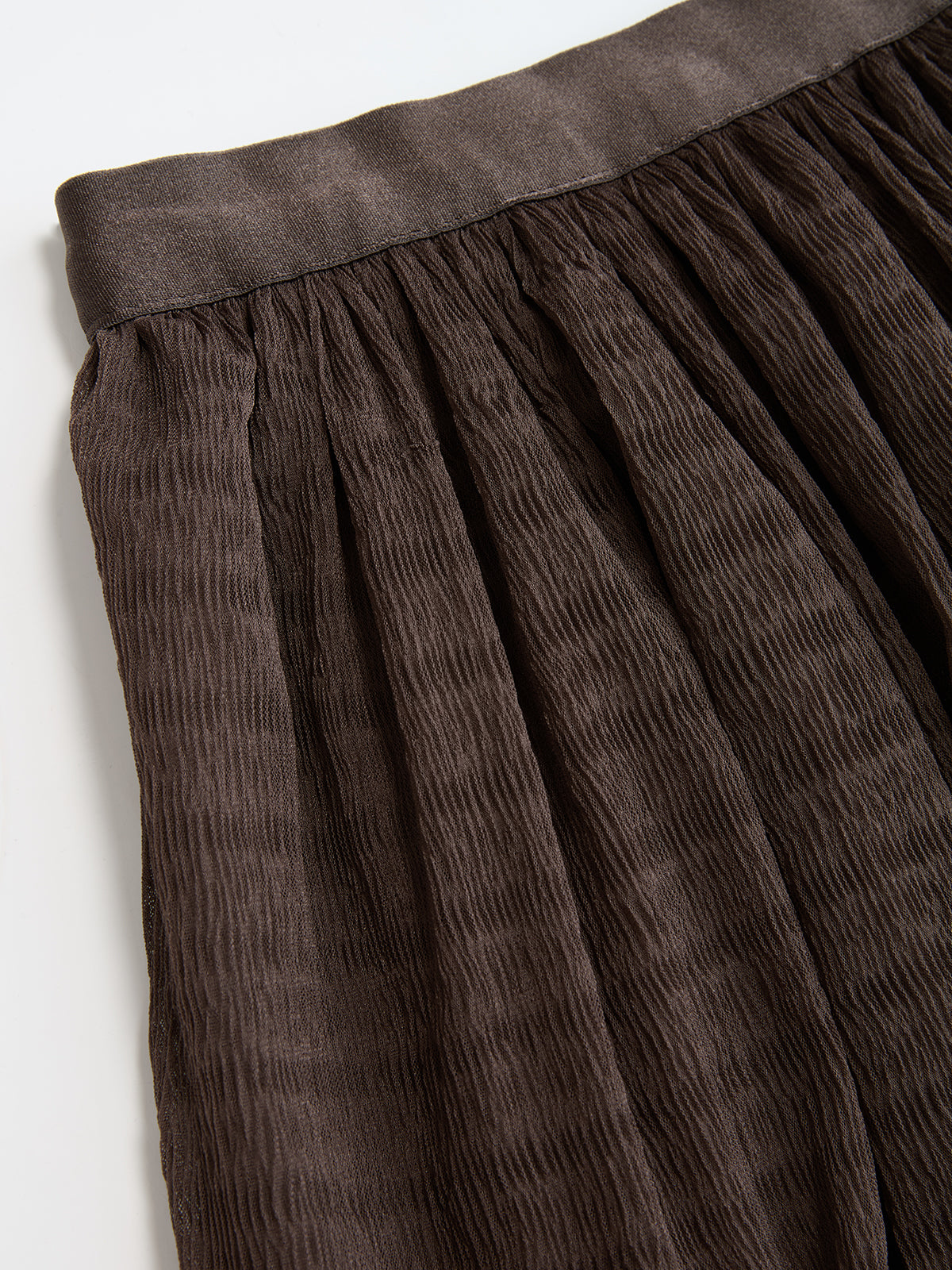 Pleated Mesh Maxi Skirt-Chicvia