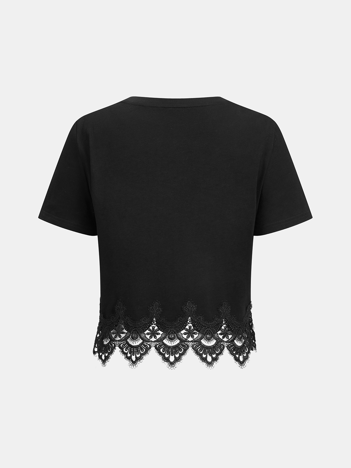 Lace Trim Short-Sleeve Crop Top-Chicvia