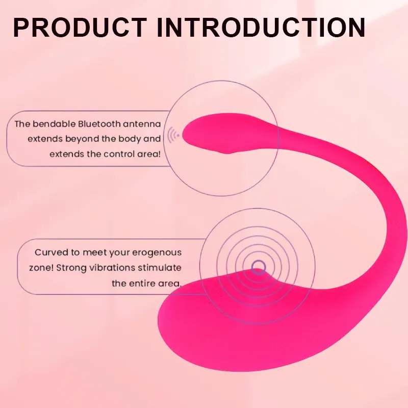 Dolphin Bluetooth G-Spot Vibrator