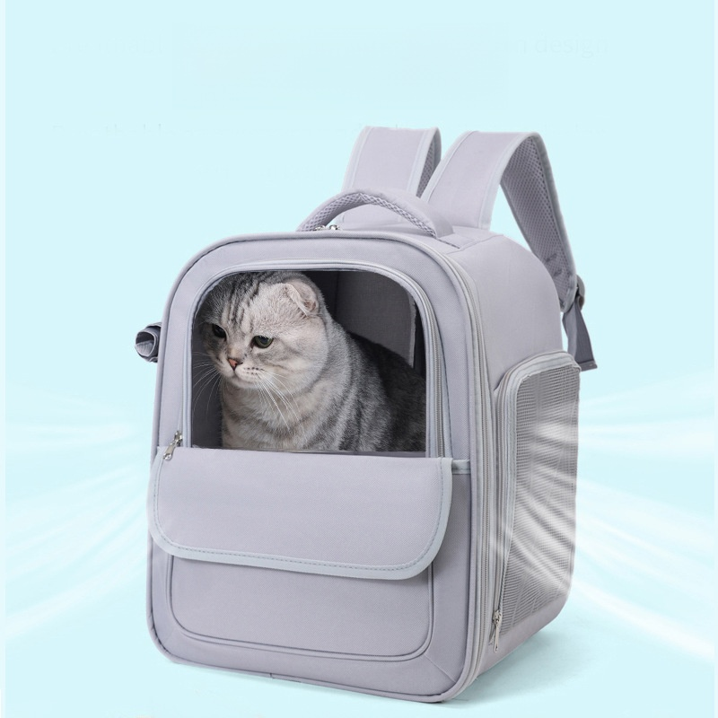 Katzentasche – kratzfest und abriebfest