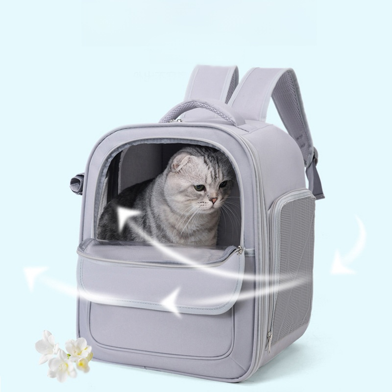 Katzentasche – kratzfest und abriebfest