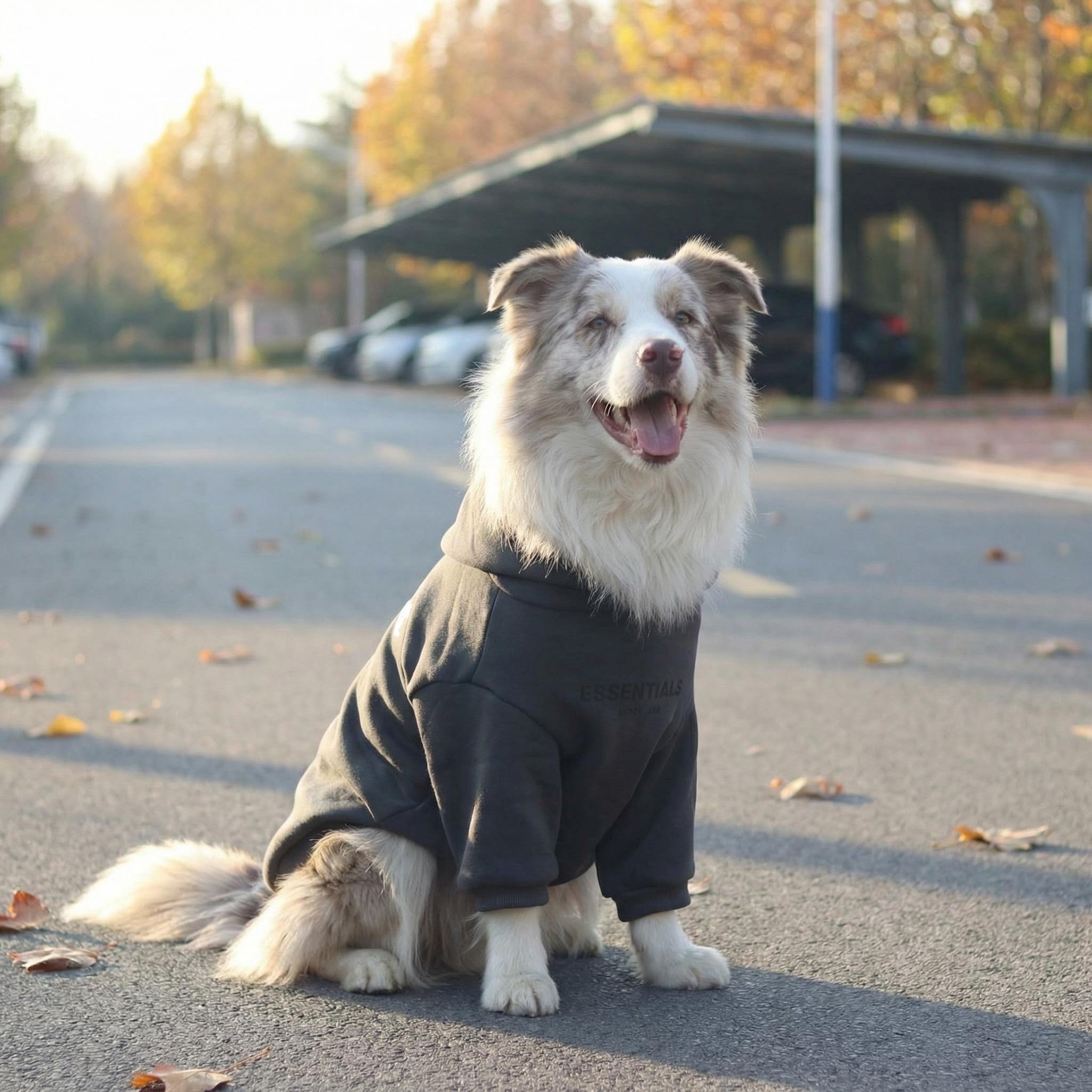 Cross-border medium and large dog edge herding Labrador Shiba four-legged jacket waterproof and windproof dog clothes raincoat