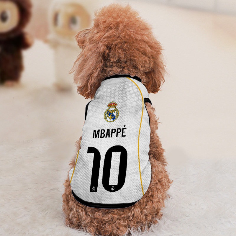 20
