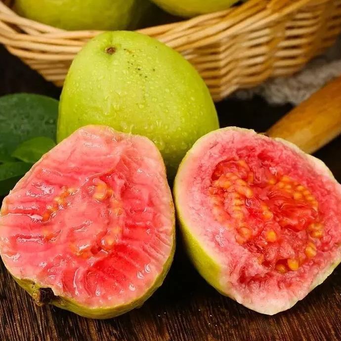 Pink Guava Seeds for Planting- Suitable for Pots,Greenhouses, and Outdoor Gardens