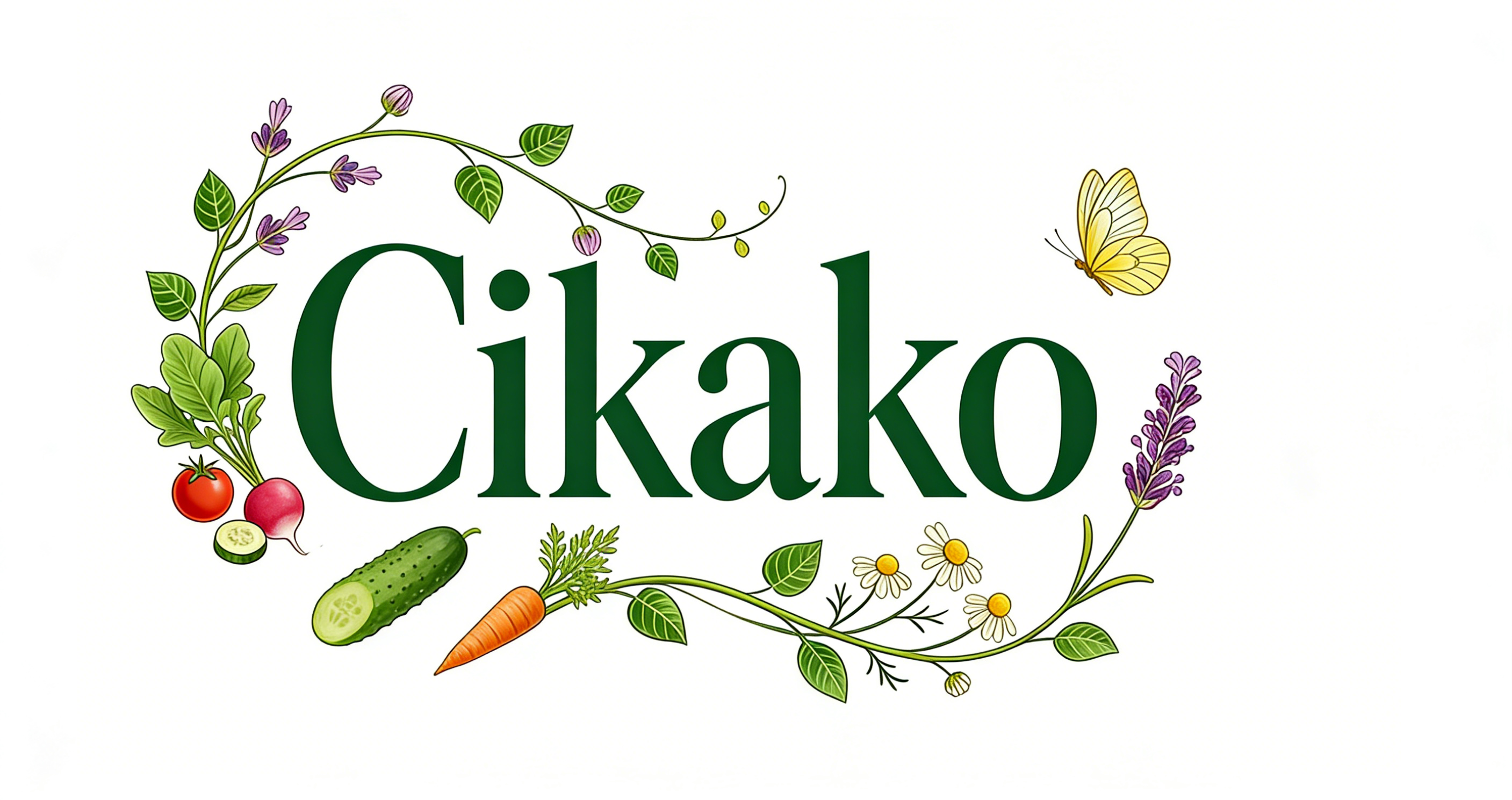 Cikako