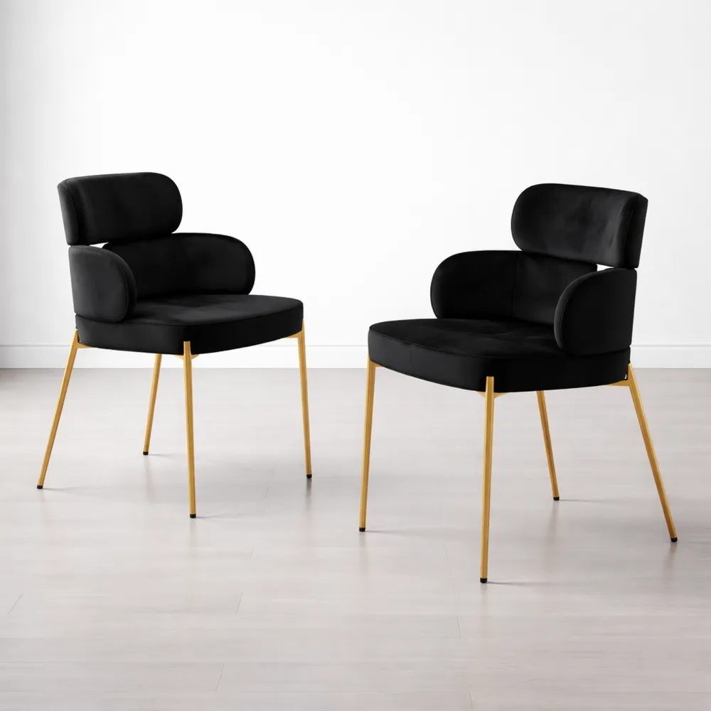 Chaises de Salle à Manger en Velours avec Accoudoirs, Lot de 2, Noir