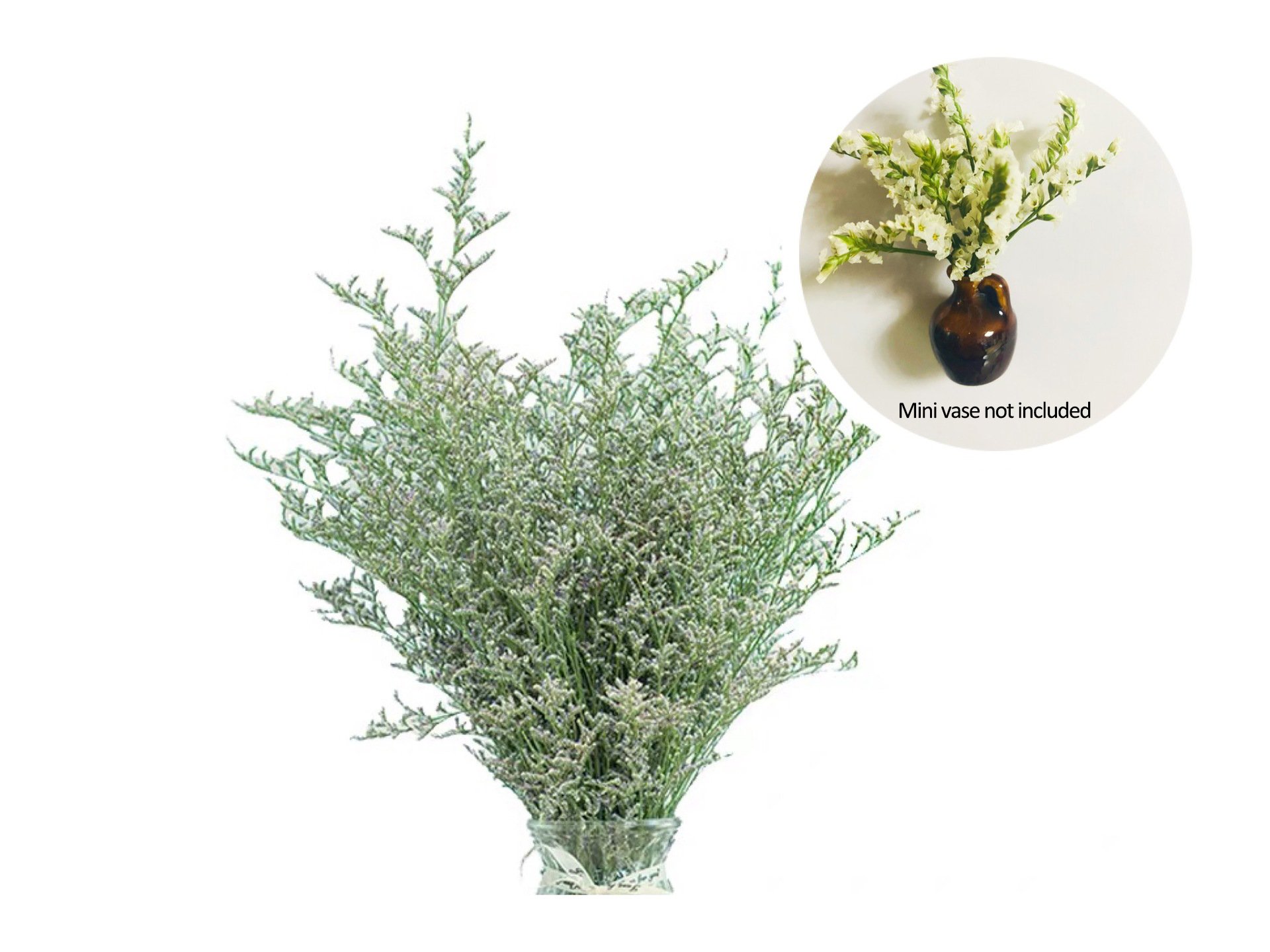 🔥Last Day Promotion - 49% OFF🎁Mini Ceramics Vase Fridge Magnet🌸