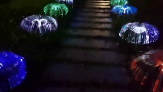 jellyfish lighting