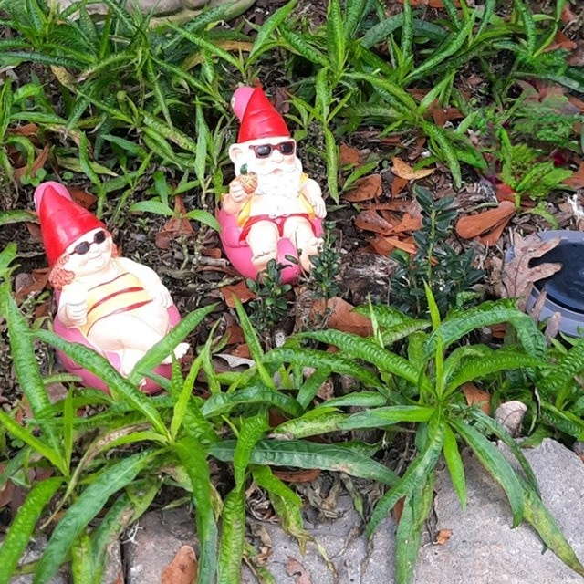 🎁Garden Gnome Statue on Flamingo