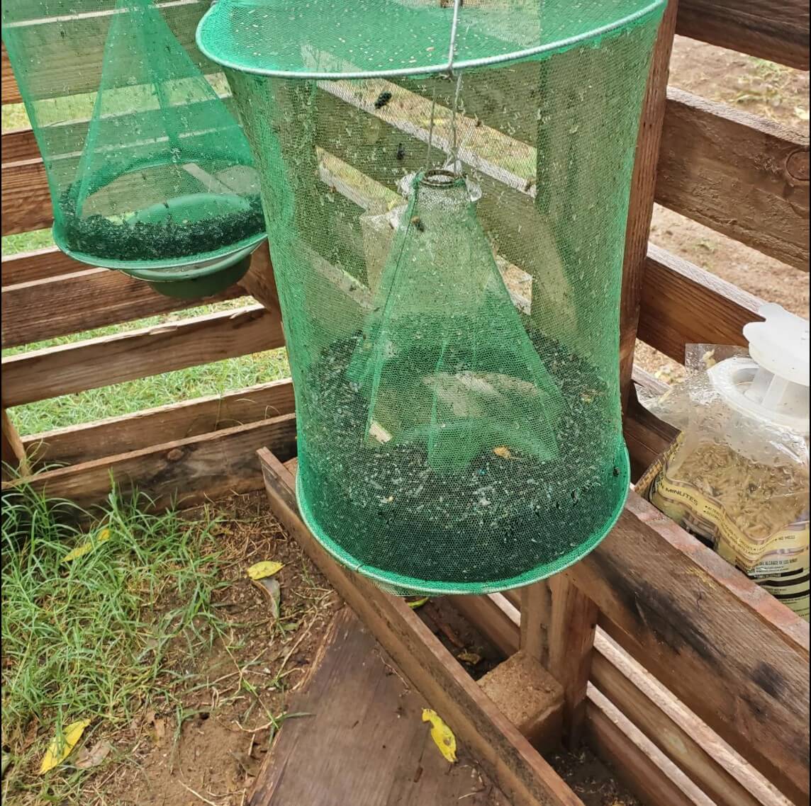 Fly & Mosquito Trap - 🔥Summer Hot Sale 50% OFF🔥