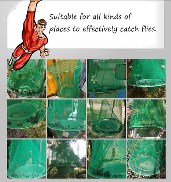 Fly & Mosquito Trap - 🔥Summer Hot Sale 50% OFF🔥