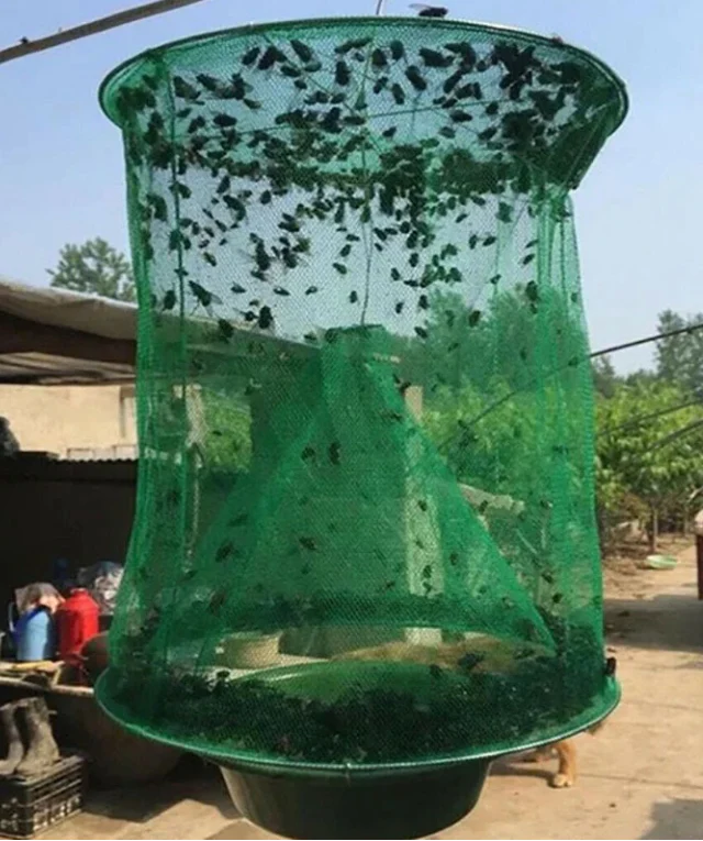 FAST FLY CATCHER™ - 100% NON TOXIC - REUSABLE