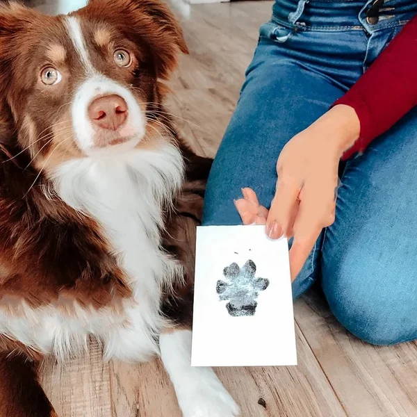 Paw print ink pads for dogs and cats