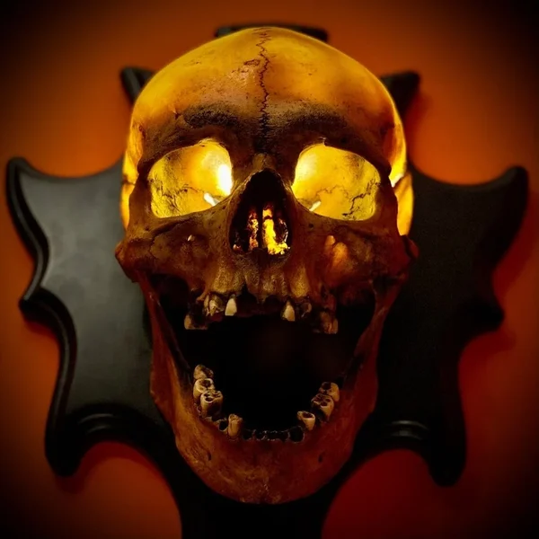 💥Halloween Hot Sale💀Skull lamp“Singing head”night light💥