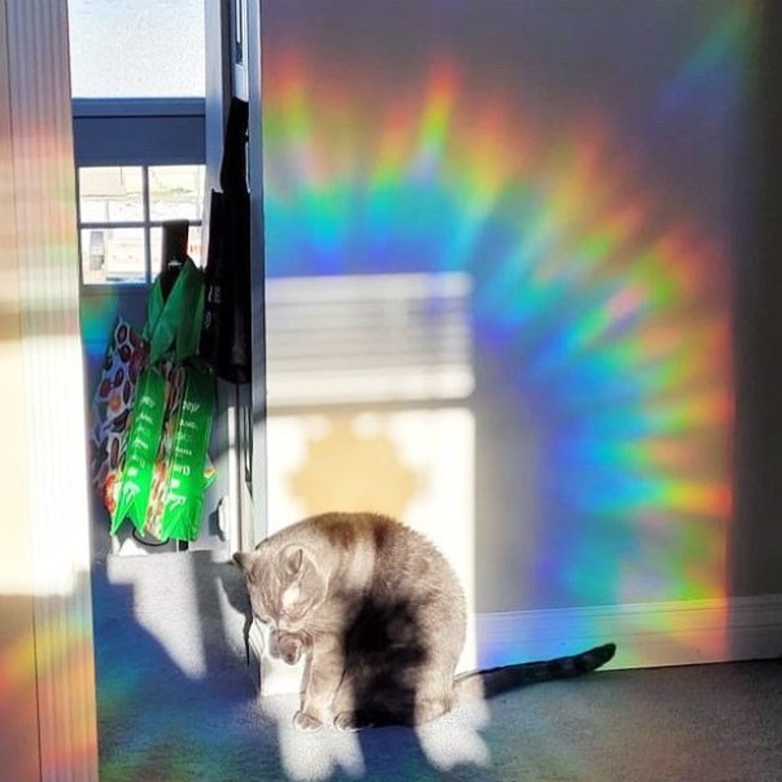 Ghosts Window Stickers