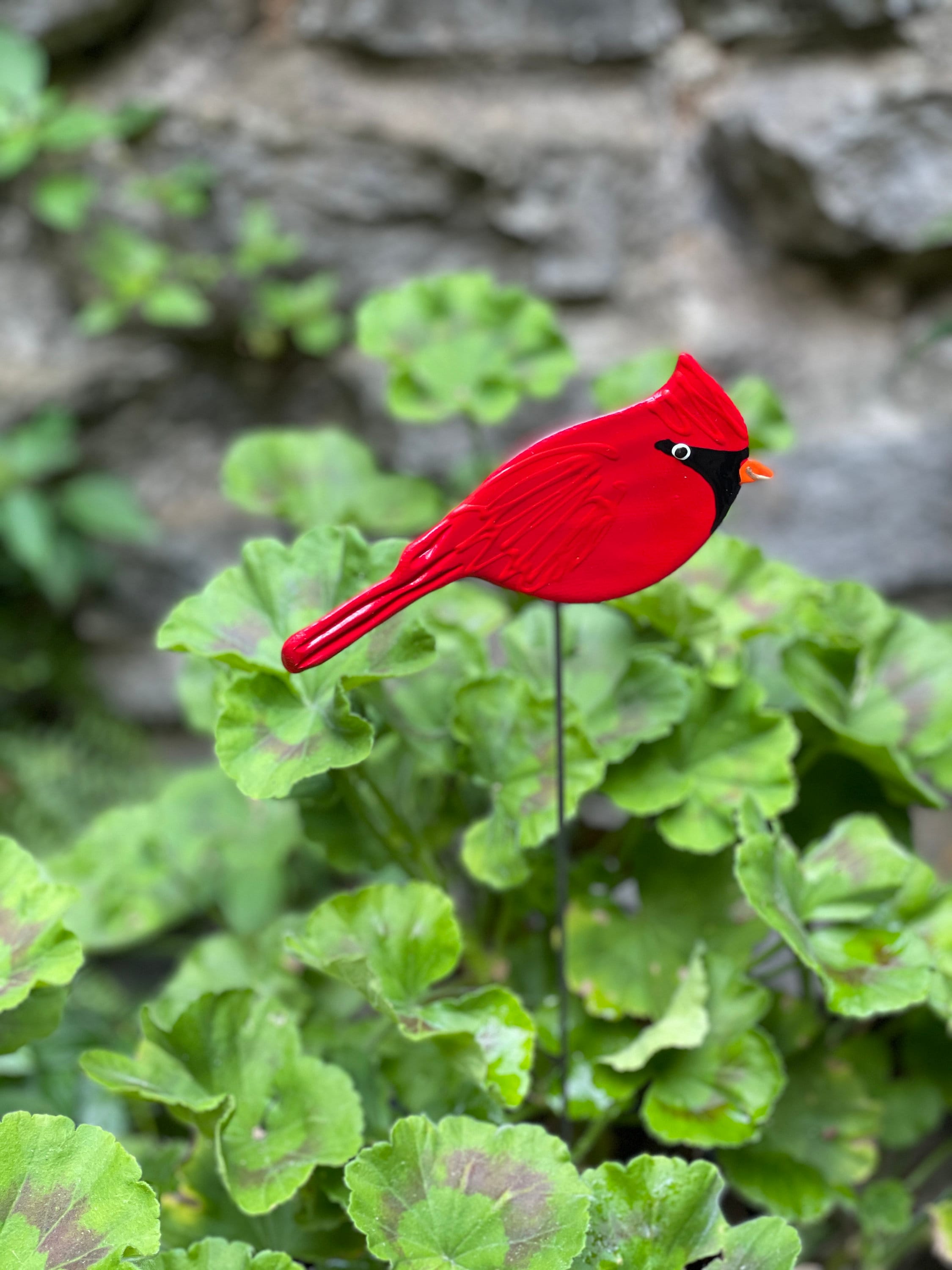 🐦Red Cardinal Garden Yard Bird