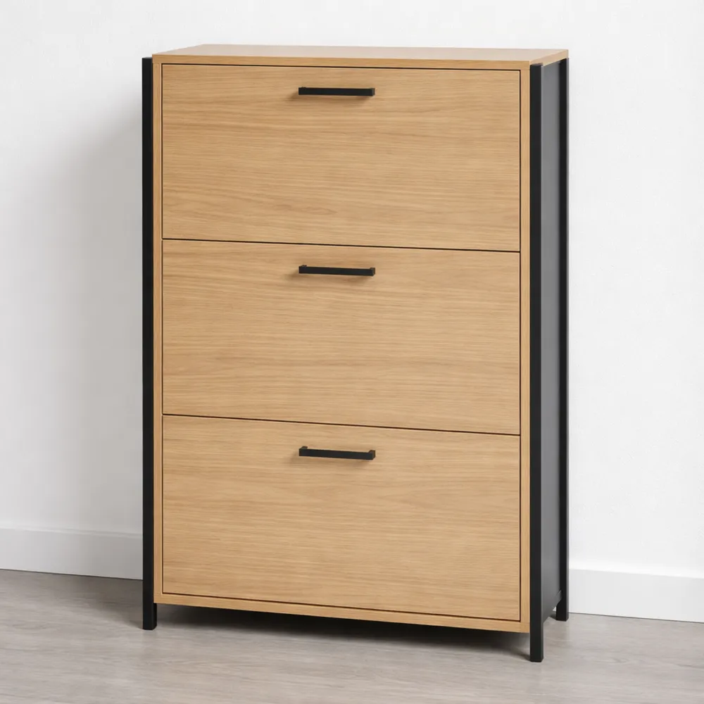 Armoire à Chaussures Moderne