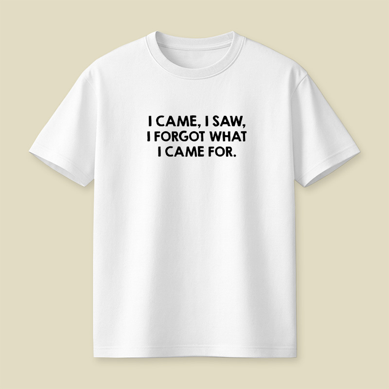 I Came I Saw I Forgot What I Came For Playful T-Shirt