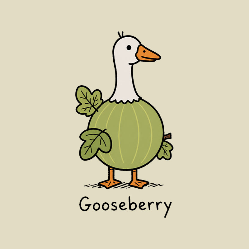 Gooseberry Playful T-Shirt
