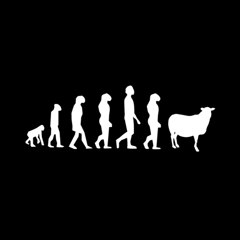 Evolution Of Man Monkey Playful T-Shirt