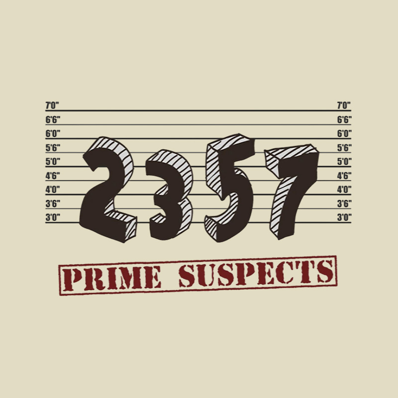 The Prime Number Suspects Playful T-Shirt