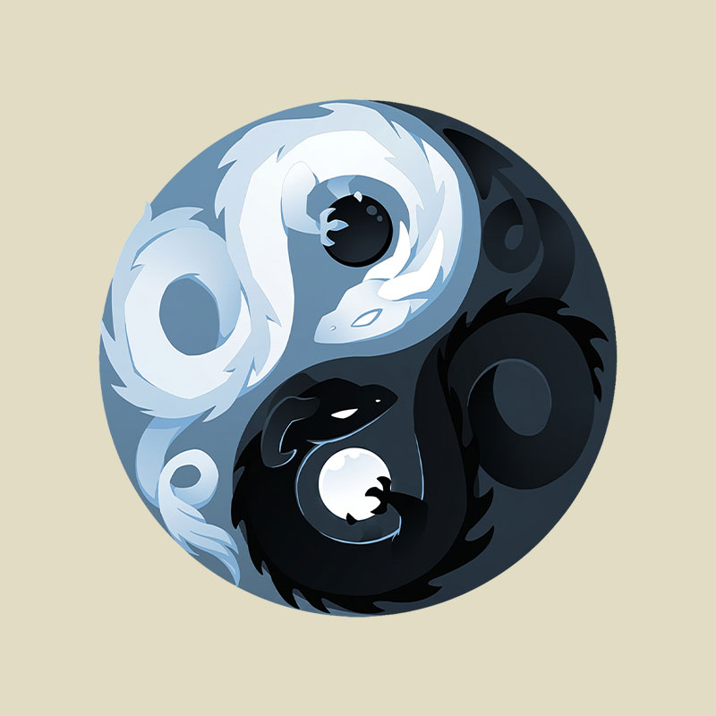 Yin And Yang Dragons Playful T-Shirt