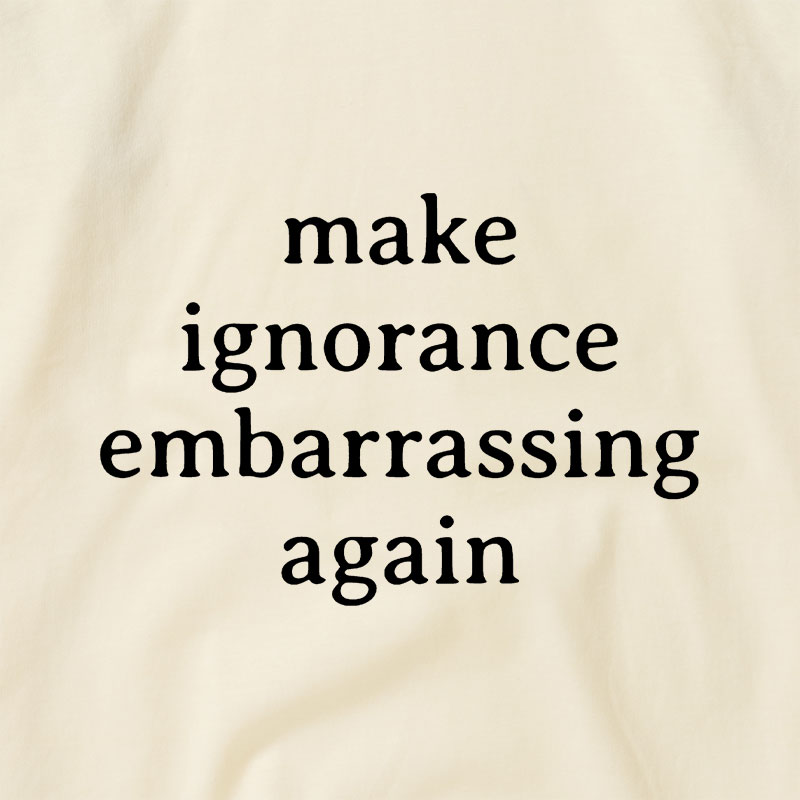 Make Ignorance Embarrassing Again Raglan T-shirt