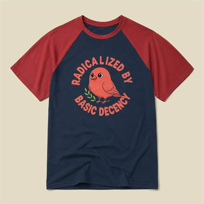 Radicalized By Basic Decency Raglan T-shirt