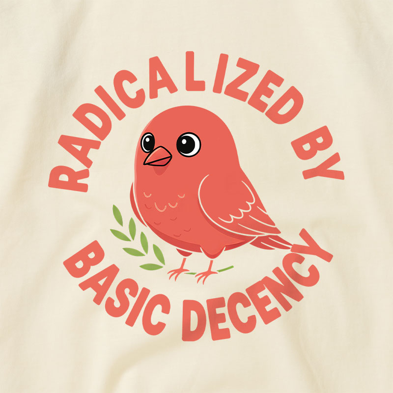 Radicalized By Basic Decency Raglan T-shirt
