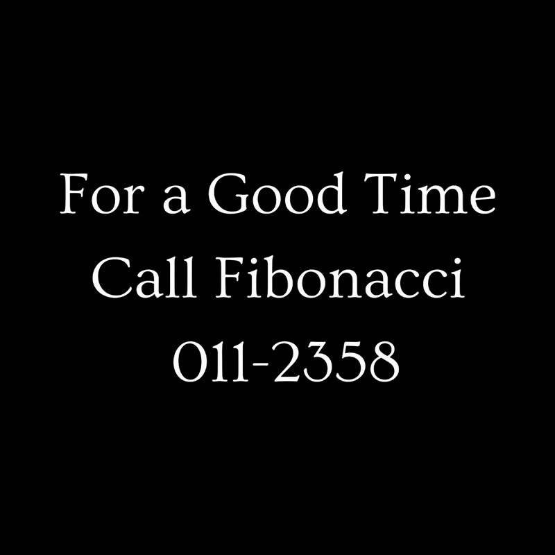 Call Fibonacci For A Good Time Playful T-Shirt
