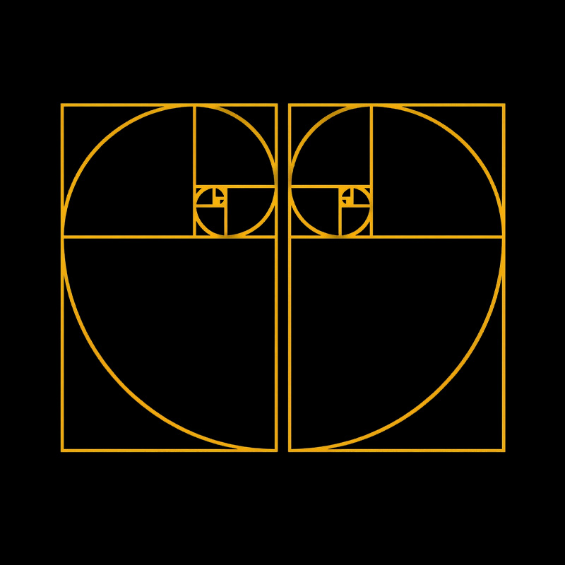 Golden Heart Made up of The Golden Ratio Fibonacci Spiral Playful T-Shirt