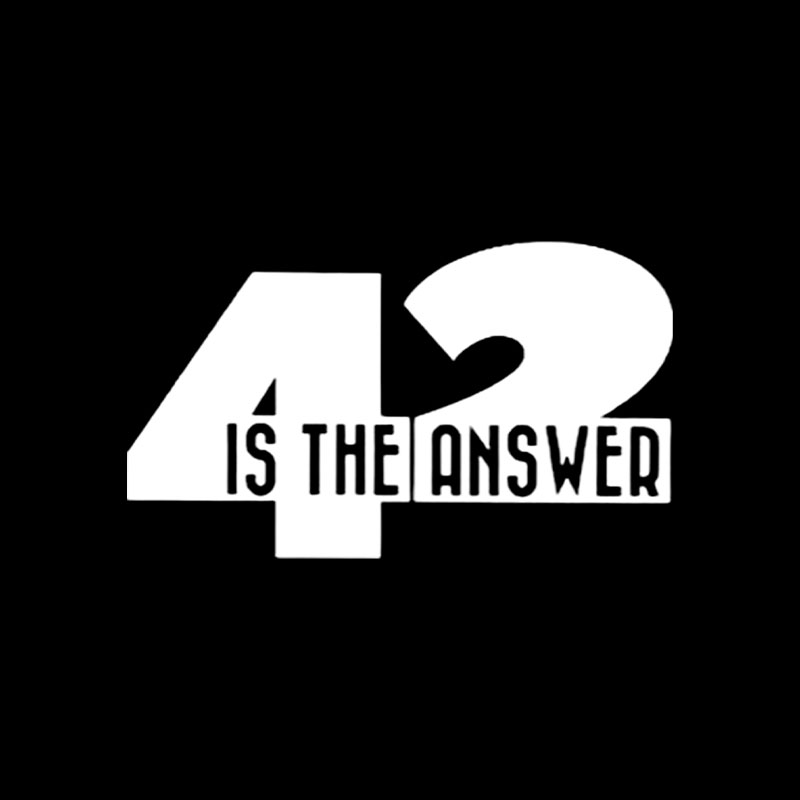 42 Is The Answer Playful T-Shirt