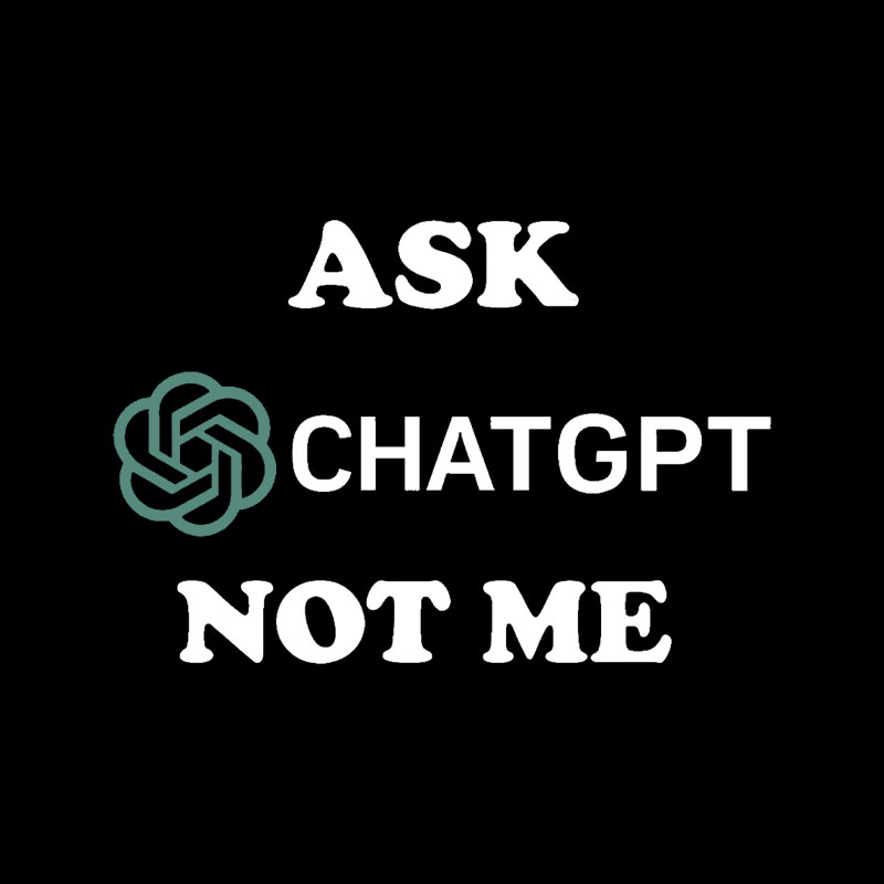 Ask ChatGPT Playful T-Shirt