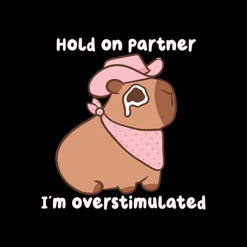 Hold On Partner I'm Overstimulated Cowboy Capybara Playful T-Shirt