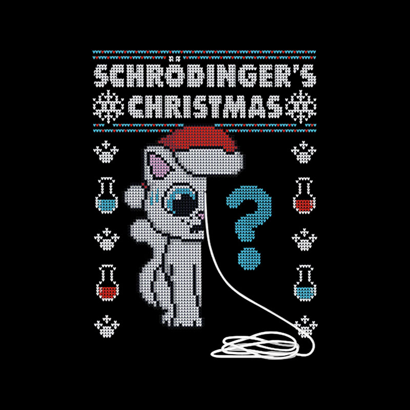Schrödinger's Christmas Playful T-Shirt